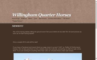 Willingham Foundation Quarter Horses